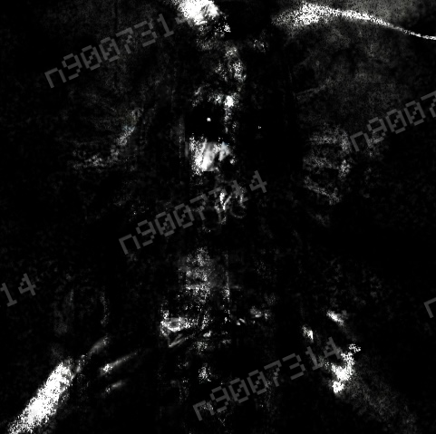 Hollowed